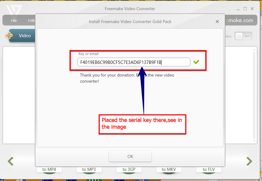 Download Freemake Video Converter Gold Pack Subtitle Pack Serial Free